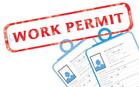 Procedures for applying for a work permit for foreign experts in Vietnam