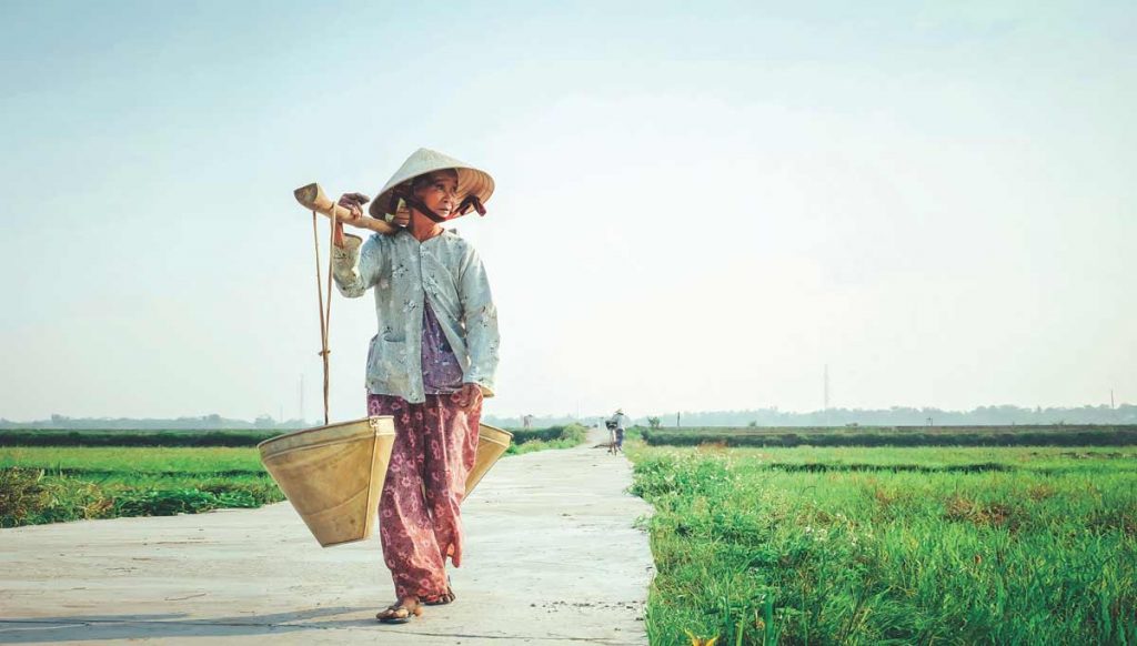 Levels of rural planning in Vietnam