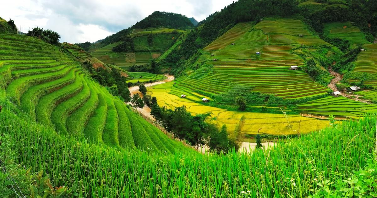 Convert agricultural land to farmland in Vietnam