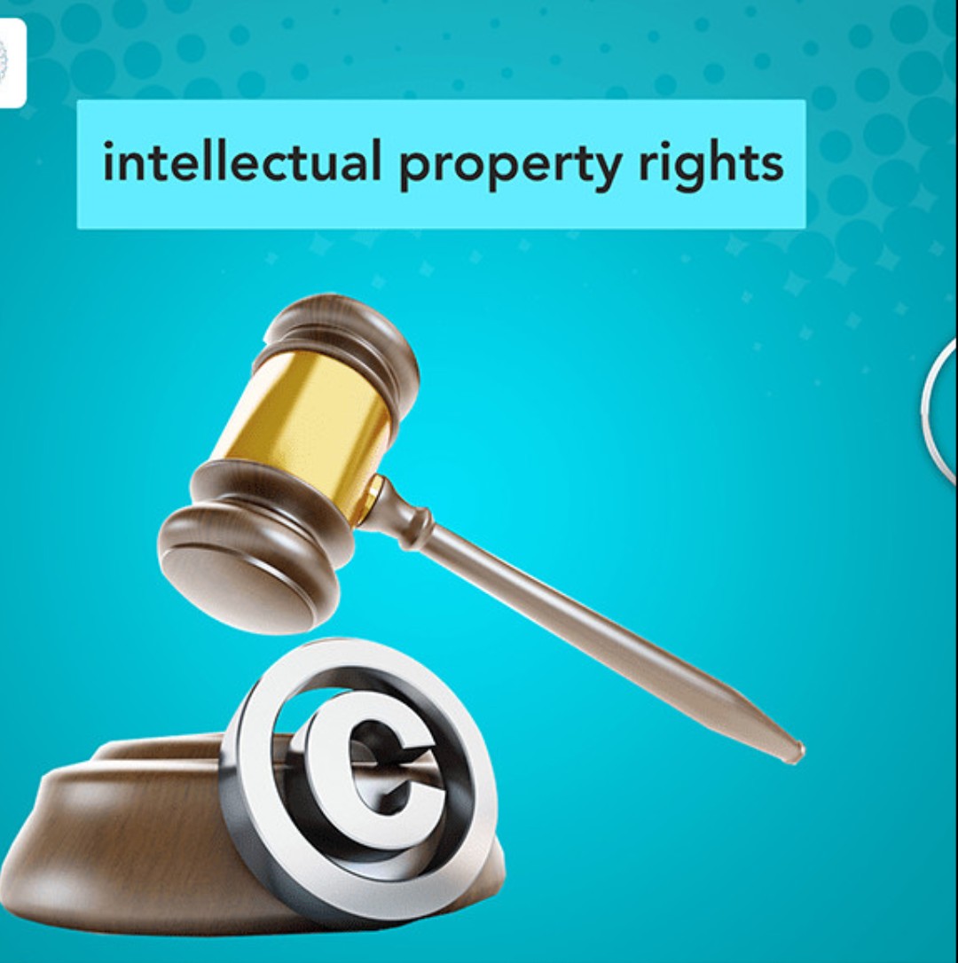 Contributing capital with intellectual property rights to establish a business