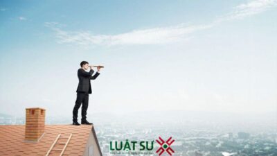Advantages and disadvantages of Multi-member LLC in Vietnam?