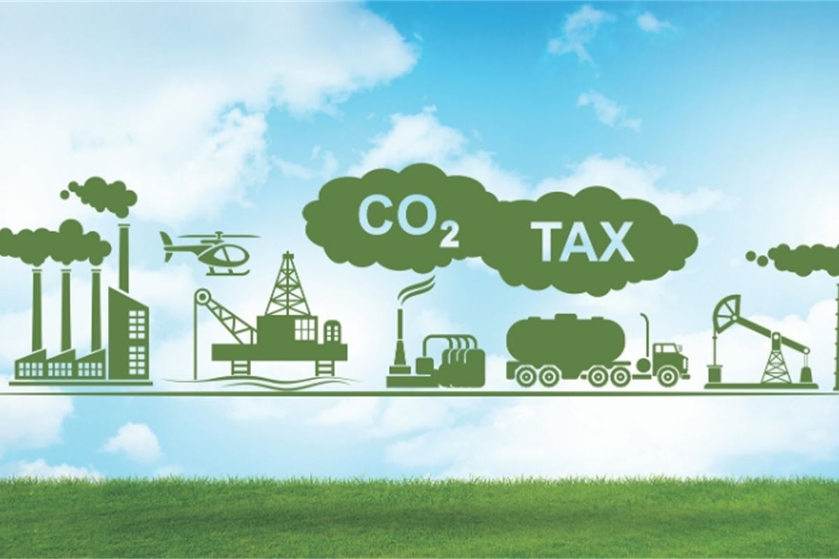 How to calculate the current environmental protection tax in Vietnam?