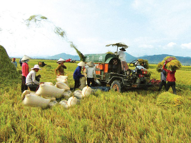 Agricultural land use regime according to Vietnam land law