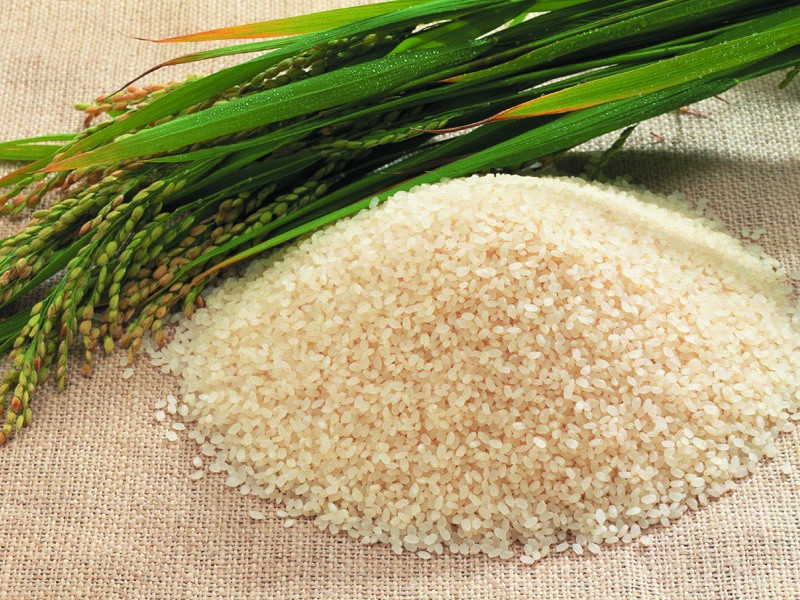 Contract for the sale of domestic rice in Vietnam