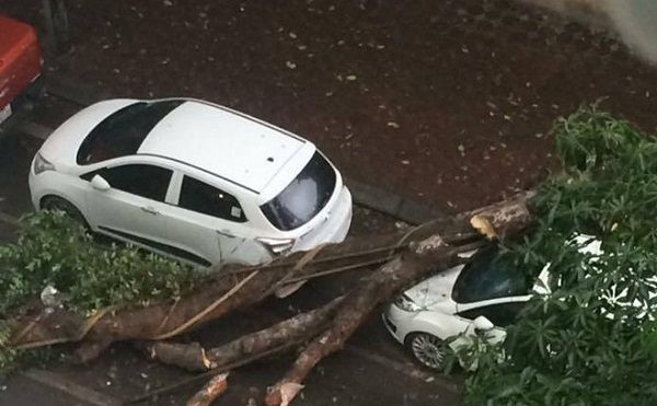 Is a tree falling on a car insured in Vietnam?