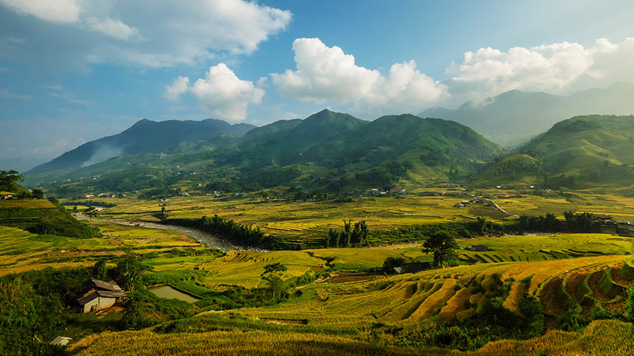 Legal regulations on land use term in Vietnam