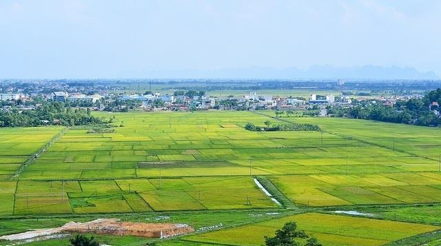 Rights and obligations of organizations using land in Vietnam