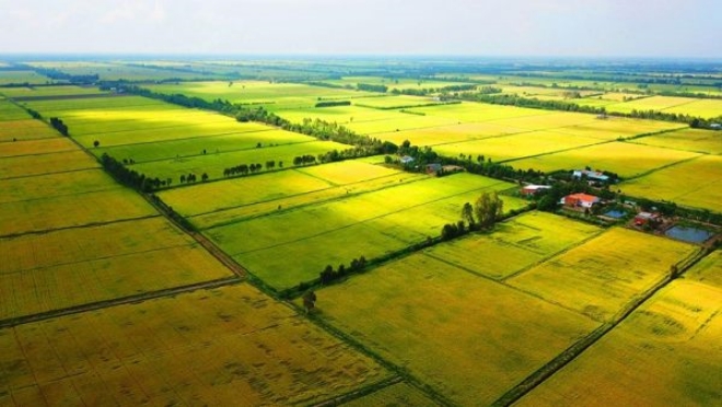 Agricultural land tax under Vietnam law
