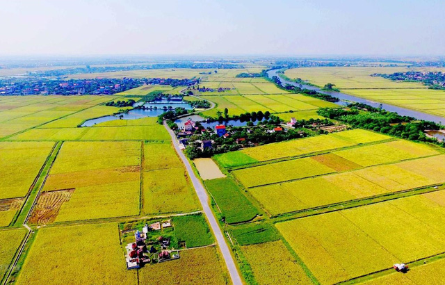Converting farmland to residential land in Vietnam