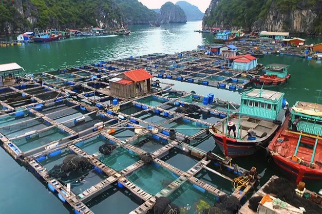 Do aquatic hatcheries in Vietnam have to have a wastewater system?