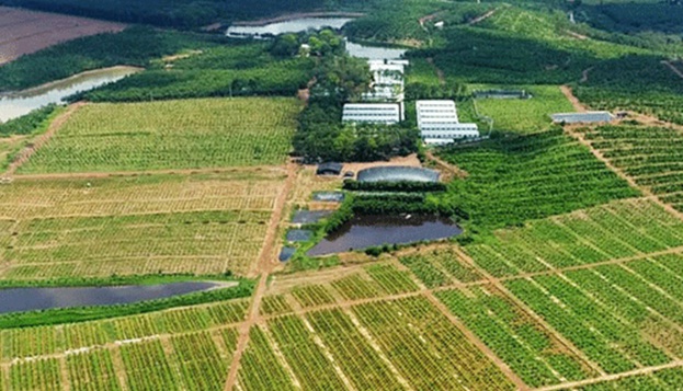 Is it possible to farm on productive forest land in Vietnam