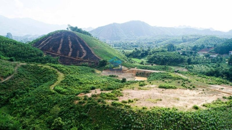 Leasing production forest land according to Vietnam law