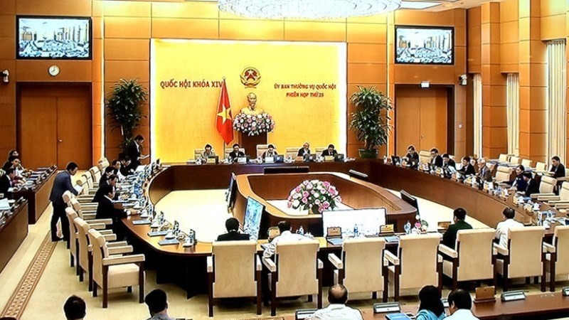 Standing Committee of the National Assembly offering opinions about law projects in Vietnam