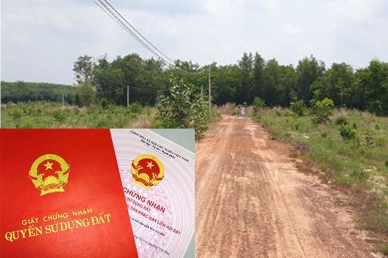 How to legalize land encroachment under Vietnam law?