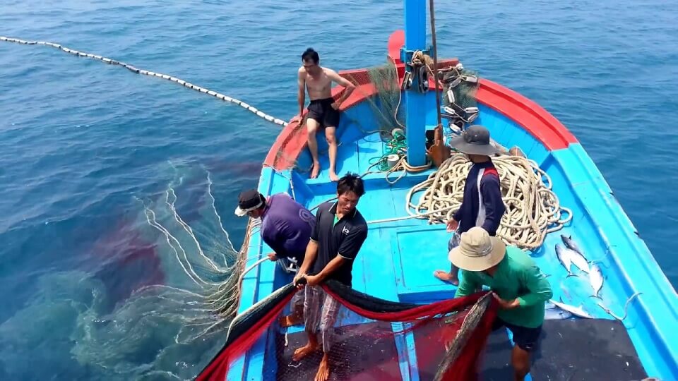 Regulations on fishing areas in Vietnam