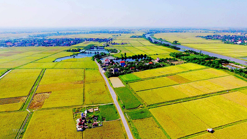 Agricultural land rental price in Vietnam