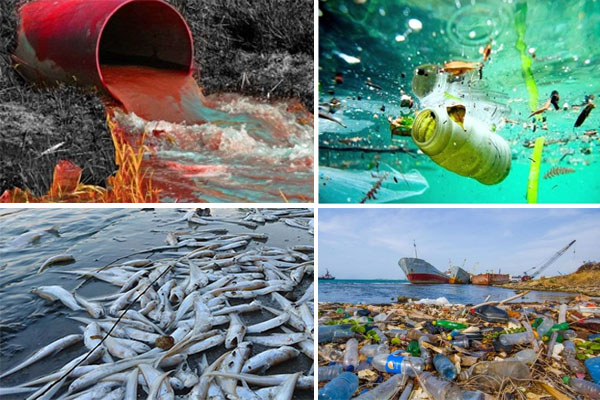 Environmental crimes are regulated in which Vietnam law?