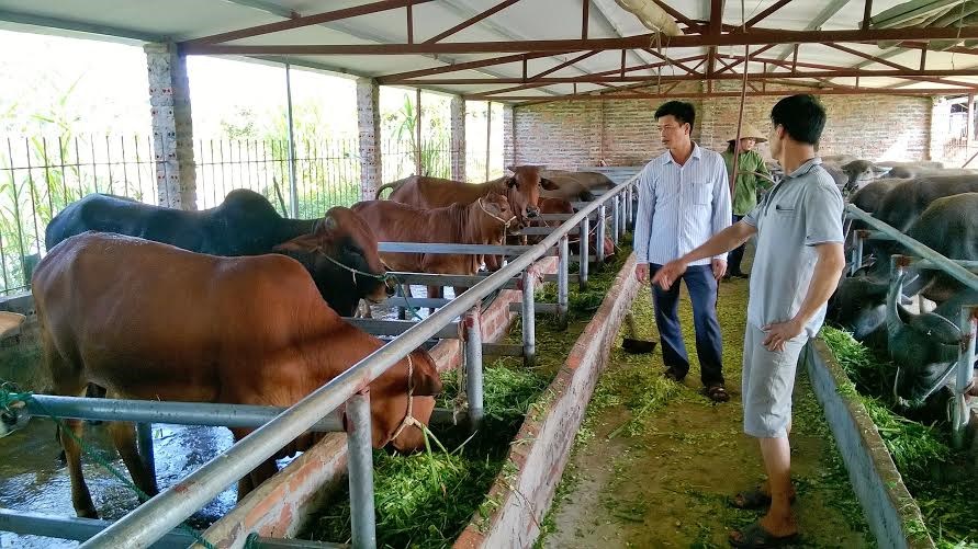 Regulations on household husbandry under Vietnam law