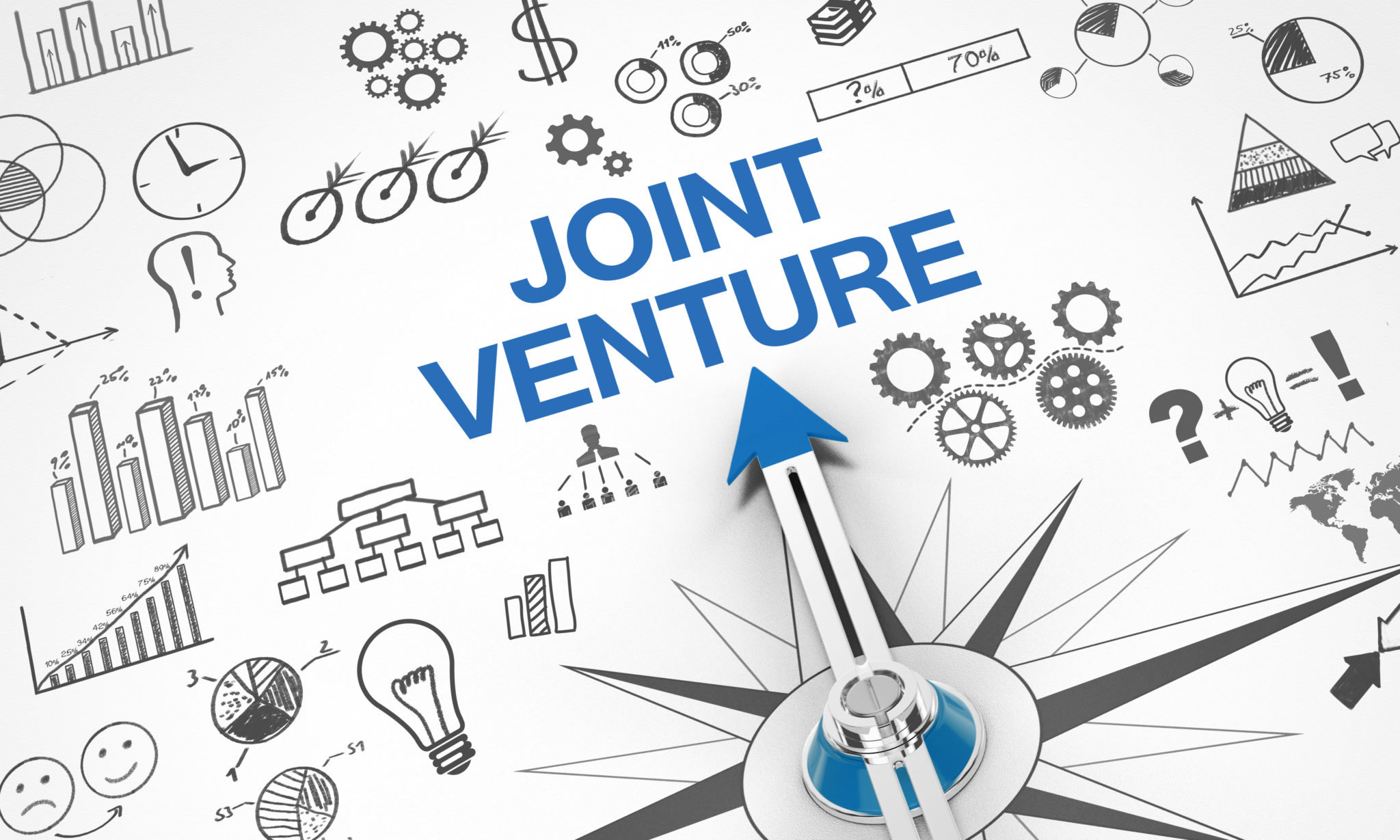 Establish a joint-venture company in Vietnam